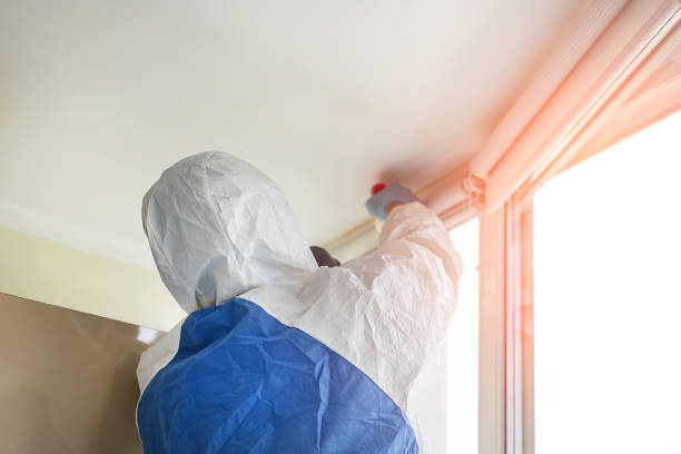 Environmental Consulting for Mold Prevention in Sunrise, FL