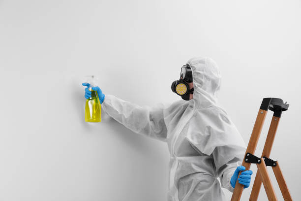 Biohazard Mold Removal in Sunrise, FL